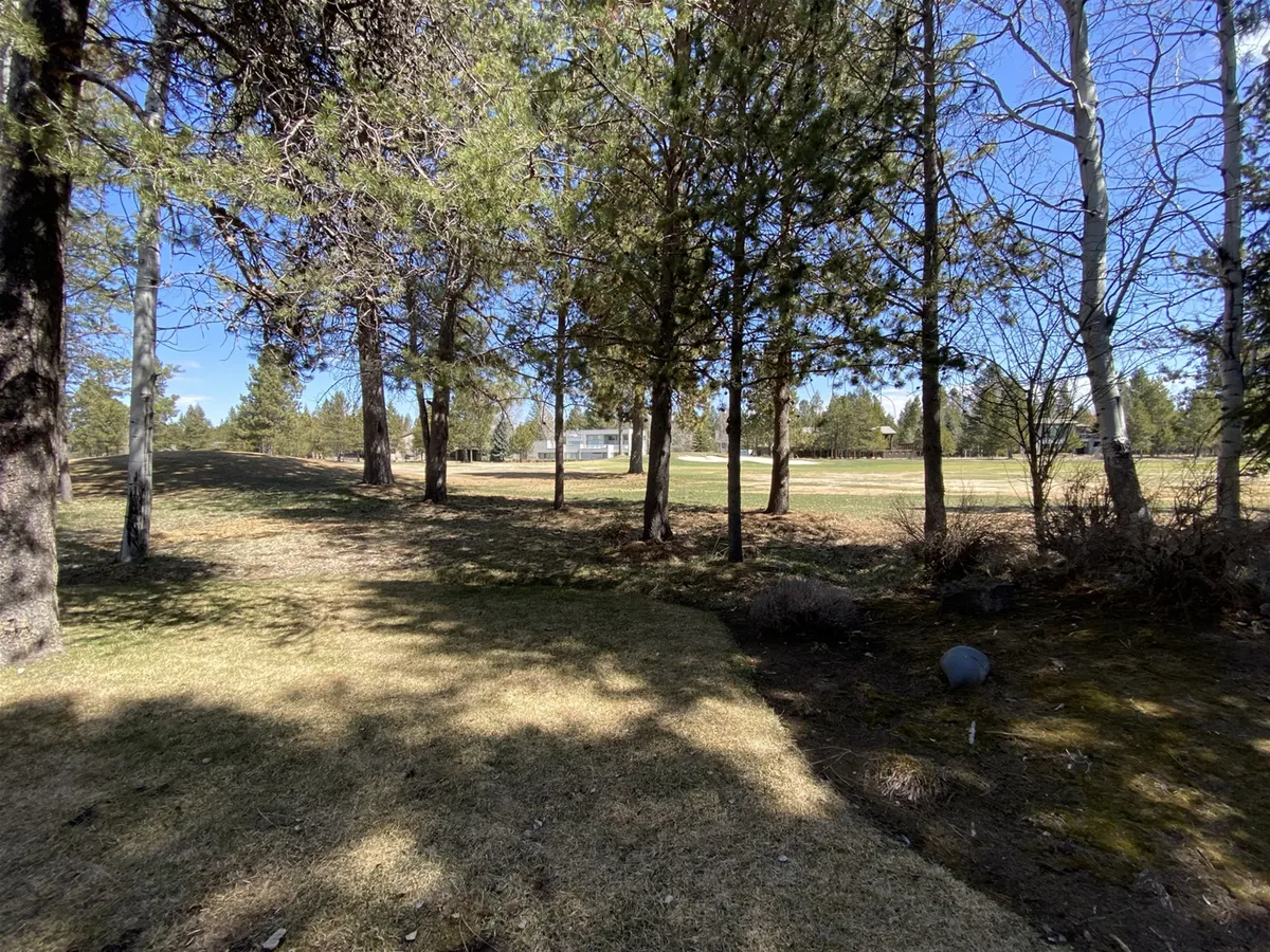 A scenic view of tall pine trees, an open grassy field, and a distant home. The image captures the natural beauty and tranquility of the Sunriver area, ideal for outdoor activities like walking, picnicking, and nature observation as mentioned in the narrative.